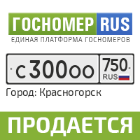 Гос номер ру. Госномер.ру. Гос номер в250вт18. Рк800 номер. Гос номер е876кс799.