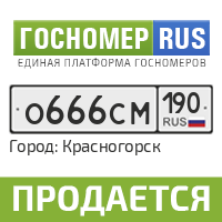 Гос номер ру. Гос номер Курган. Гос номер м832на75. Гос номер т 510 МО 45. М666нр 24.